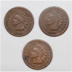 (3) INDIAN HEAD CENTS