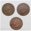 Image 1 : (3) INDIAN HEAD CENTS