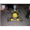 Image 2 : GO CART BY MCCULLOCH