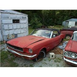 1965 MUSTANG CONV.