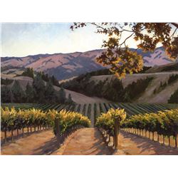 Susan Hoehn (Wine ) Sunlit Vines