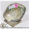 Image 1 : ABALONE SHELL ON STAND.