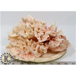 RED CORAL ON MOTHER OF PEARL STAND