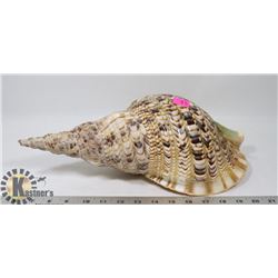 CONCHE SEASHELL - ON CHOICE