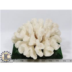 WHITE CORAL ON STAND