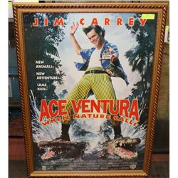 FRAMED ACE VENTURA MOVIE POSTER 31 X 43