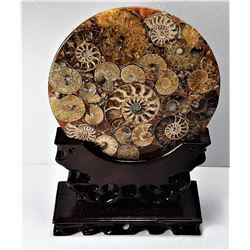 18)  NATURAL AMMONITE FOSSIL