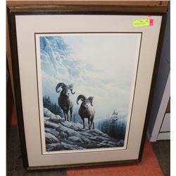 ROCKY MOUNTAIN LIMITED EDITION MARLA WILSON