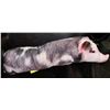 Image 1 : REALISTIC PIG PILLOW 36" LONG.