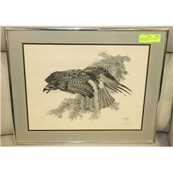 OSPREY FRAMED AND MATTED BY NORTON 78 16X19