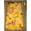 Image 1 : LARGE BOX OF RUBBER DUCKIE SETS