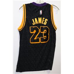 LEBRON JAMES LA LAKERS JERSEY MENS SIZE M (48).