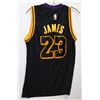 Image 1 : LEBRON JAMES LA LAKERS JERSEY MENS SIZE M (48).