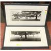 Image 1 : LOT OF 2 FRAMED TREE PICTURES.