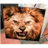 LION PICTURE