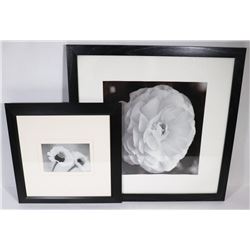 2 BLACK/WHITE FRAMED FLOWER PICTURES.