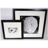 Image 1 : 2 BLACK/WHITE FRAMED FLOWER PICTURES.