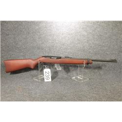 RIA Ruger 10/22 Knock Off