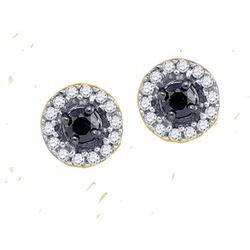 10K Yellow-gold 0.20CTW BLACK DIAMOND FASHION EARRING