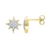 Image 1 : 10K Yellow-gold 0.10CTW DIAMOND FASHION EARRING