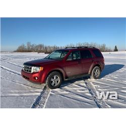 2008 FORD ESCAPE SUV