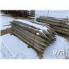 Image 1 : (32) 7 FT. TREATED FENCE POSTS