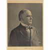 Image 2 : William McKinley