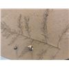 Image 8 : Black Frame Table Lamp with Embellished Beige Paper Lampshade 27"H
