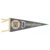 Image 1 : Disneyland Tencennial Celebration Pennant.