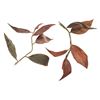 Image 1 : Swiss Family Treehouse Red Leaf Props.