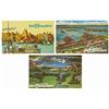 Image 1 : Set of (3) Walt Disney World Pre-Opening Postcards.