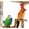 Image 1 : Original Functioning Pair of Enchanted Tiki Room Birds.