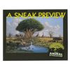 Image 1 : "A Sneak Preview" Animal Kingdom Book.