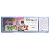 Image 1 : Euro Disney Commemorative Passport.