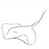 Image 2 : Stingray by Wyland Original