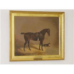 19TH CENT. OIL ON CANVAS MAJELLA 1ST PRIZE SADDLE