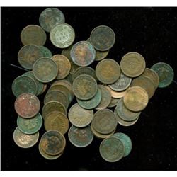 Lot of 50 Indian Head Cents Mixed Dates