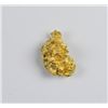 Image 1 : 1.32 Gram Natural Alluvial Gold Nugget