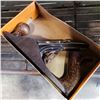 Image 3 : VINTAGE STANLEY NUMBER 4 PLANE IN BOX