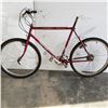 Image 1 : BURGUNDY TREK BIKE