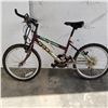 Image 1 : PURPLE NORCO BIKE