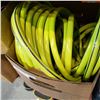 Image 2 : GREEN GARDEN HOSE
