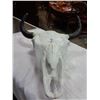 Image 2 : PLASTER CAST OF STEER SKULL