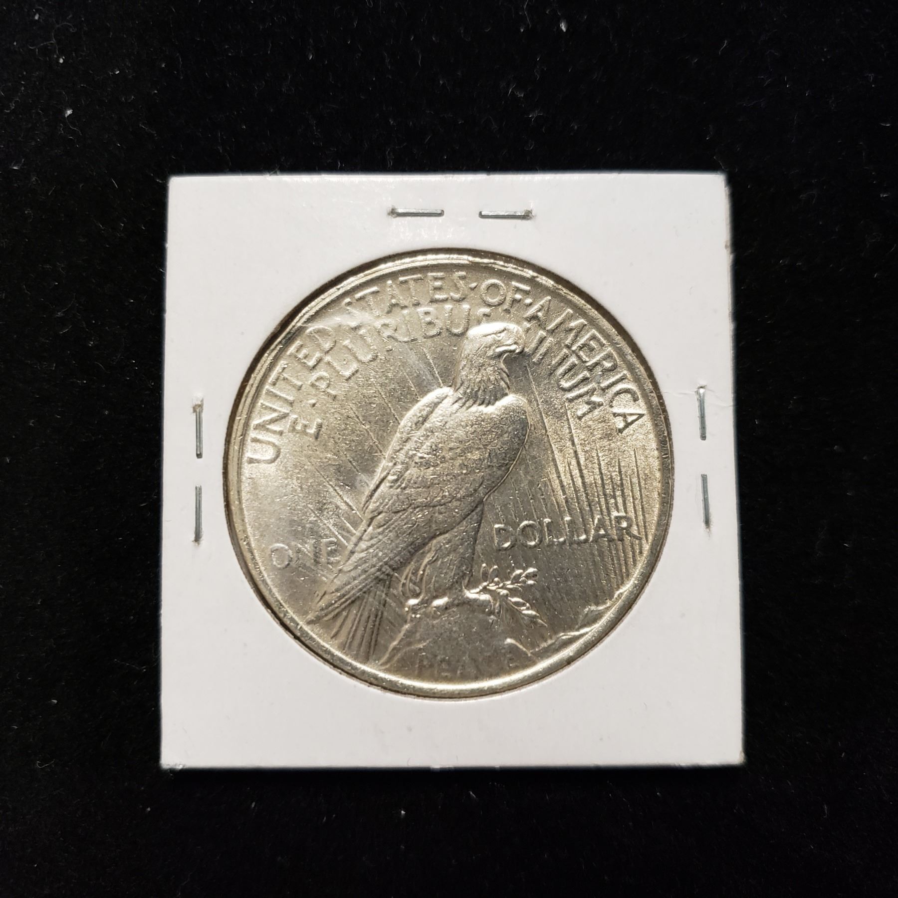 1924 Peace Silver Dollar