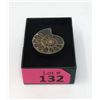 Image 2 : Large Custom Made Ammonite Ring