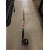 Image 1 : Fishing Rod with  Mitchell Reel