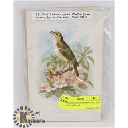 35 ORIGINAL LITHOGRAPHED PLATES FROM "FAMILIAR