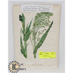 COMPLETE SET OF 25 LITHOGRAPHED PLATES BY