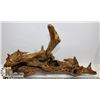 Image 1 : LACQUERED DRIFTWOOD