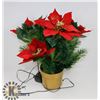 Image 1 : FIBRE OPTIC POINSETTIA